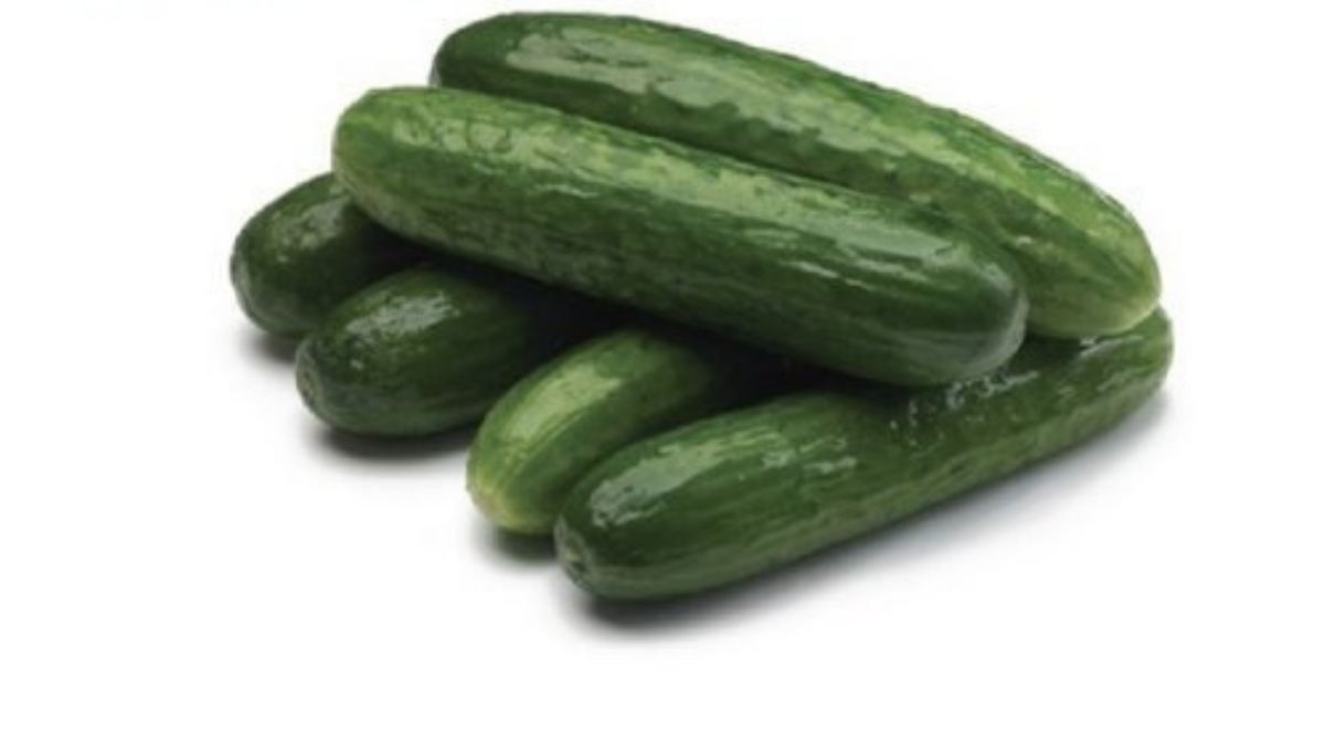 Produce Mini Cucumbers 20Ibs Approx 100 cucumbers